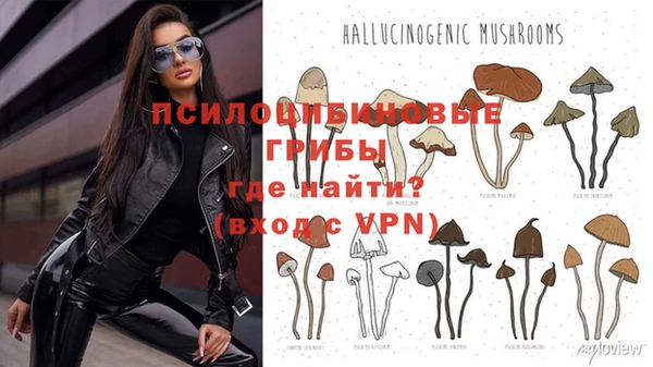 ПСИЛОЦИБИНОВЫЕ ГРИБЫ Алексин