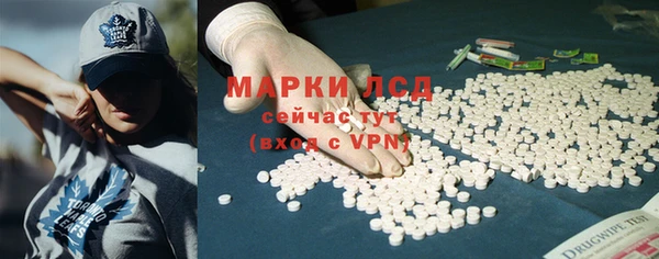 ПСИЛОЦИБИНОВЫЕ ГРИБЫ Алексин