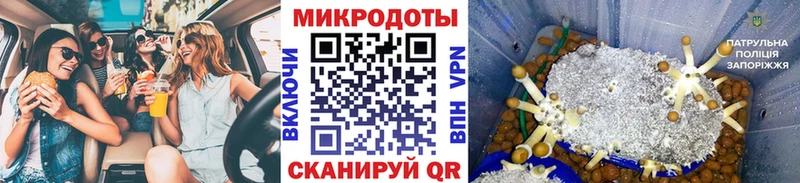 Галлюциногенные грибы мухоморы  mega как войти  Черкесск 